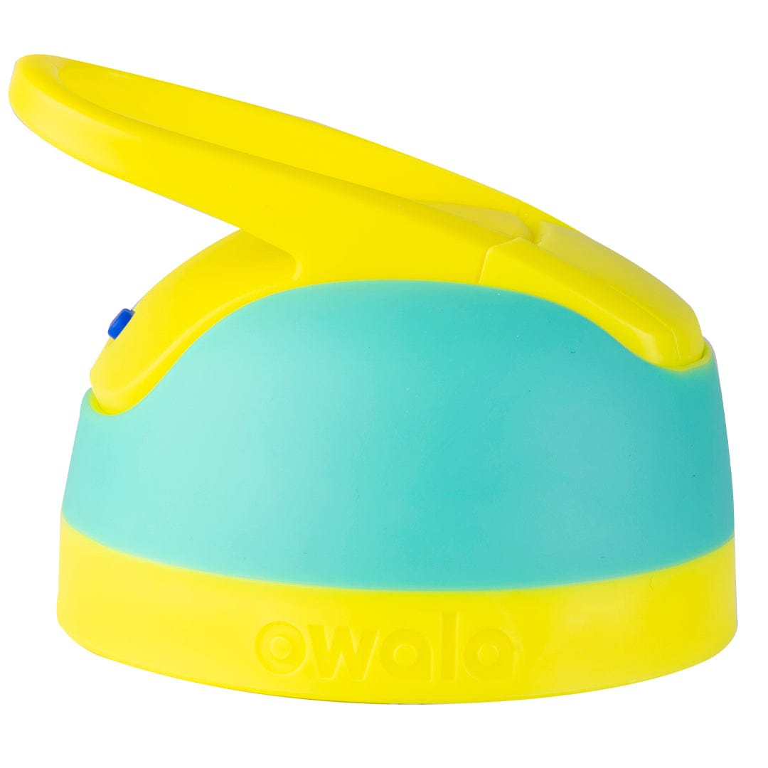 Replacement Lids - Image 6